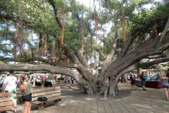 goukakyakusen-2-1-40