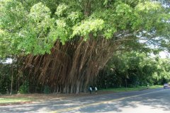 goukakyakusen-2-1-73