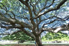 goukakyakusen-2-2-56