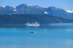 goukakyakusen-4-2-46