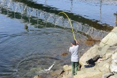 goukakyakusen-4-2-68